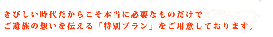 きびしい時代だからこそ本当に必要なものだけでご遺族の想いを伝える「特別プラン」をご用意しております。