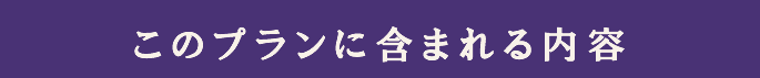 このプランに含まれる内容