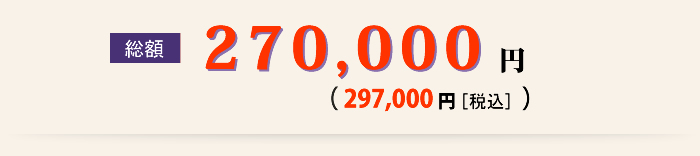 総額 250,000円（税別）